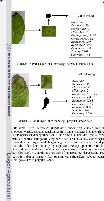Gambar 16 Perhitungan fitur morfologi penyakit bercak daun 