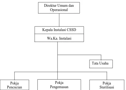Gambar 3.5  Struktur Organisasi Instalasi Central Sterilized Supply Department  (CSSD) RSUP H