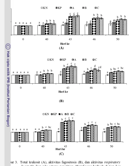 Gambar 3.  Total leukosit (A), aktivitas fagositosis (B), dan aktivitas respiratory 