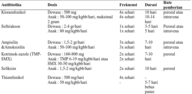 Tabel 1. Antibiotik yang diberikan pada pasien anak demam tifoid  