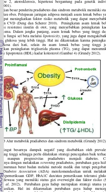Gambar 3 Alur metabolik pradiabetes dan sindrom metabolik (Grundy 2012) 