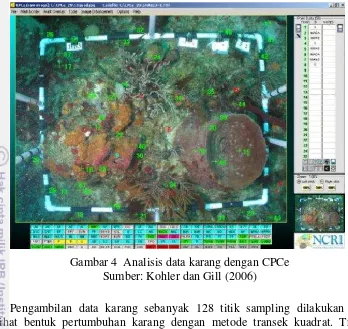 Gambar 4  Analisis data karang dengan CPCe 