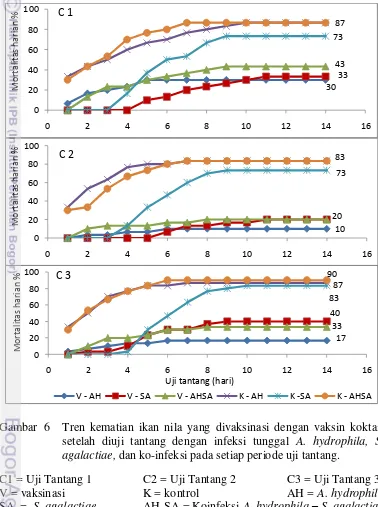 Gambar  6 Tren kematian ikan nila yang divaksinasi dengan vaksin koktail 