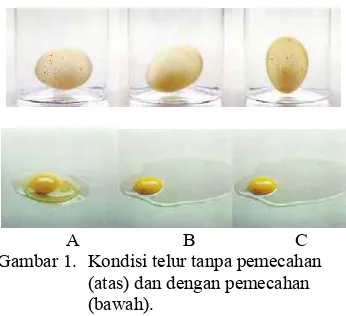 Tabel 2. Kandungan zat per 100 gram bahan yang dapat dimakan 