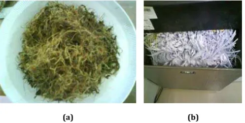 Figure 1: (a) EFB in fibrous form, (b) Shredded paper in shredder machine. 