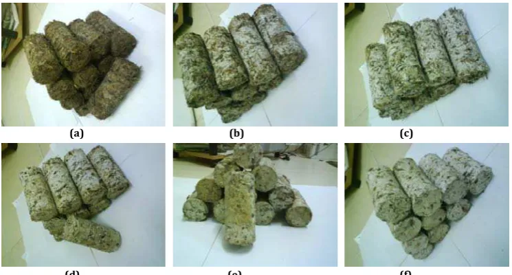 Table 1: Properties of EFB as raw materials. �Nasrin et al., �����. 