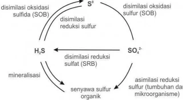 Tabel 4. Dampak Menghirup H2S 