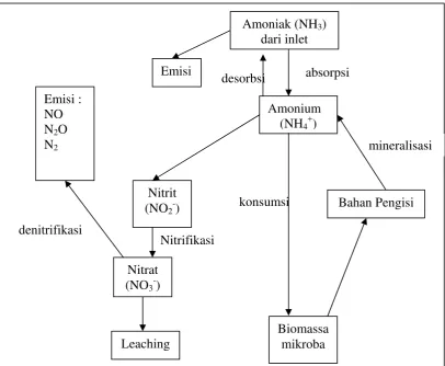 Gambar 2. Transformasi Nitrogen yang Terjadi dalam Biofilter (Brady, 1990).  