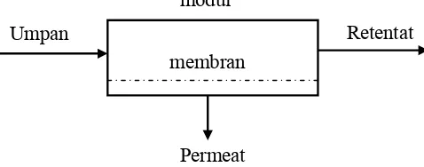 Gambar 1. Skema proses pemisahan dengan membran (Mulder, 1991) 