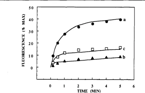 Table 11: Effect of Temperature and pH on Fusion and Inactivation in the Presence of Viral-Cell Prebinding 