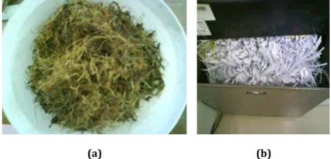 Figure 1: (a) EFB in fibrous form, (b) Shredded paper in shredder machine. 