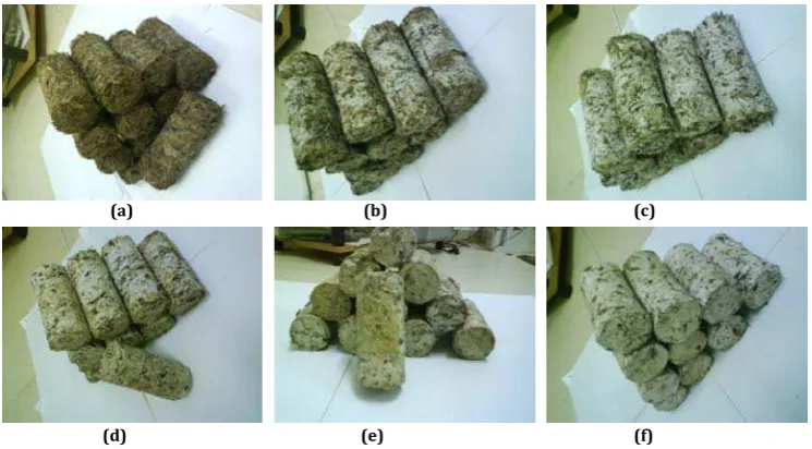 Table 1: Properties of EFB as raw materials. �Nasrin et al., ����� 