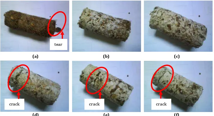 Figure 3: Crack test on sample briquettes; (a) S/N �, (b) S/N �, (c) S/N � (d) S/N �, (e) S/N � and (f) S/N �