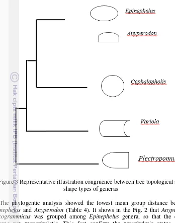Figure 3 Representative illustration congruence between tree topological and 