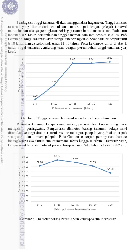 Gambar 5, tinggi tanaman akan mengalami peningkatan pesat pada kelompok umur 