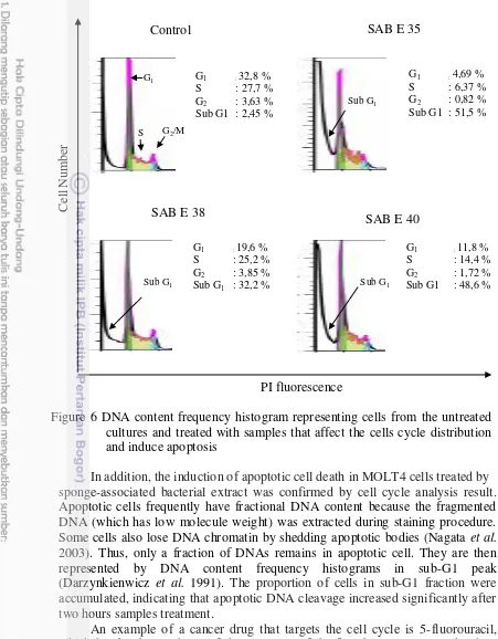 Figure 6 DNA content frequency histogram representing cells from the untreated 