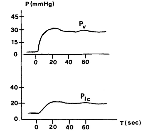 FIGURE 6. Time pattern of the diastolic ICP (Pat) and of the diastolic cerebral venous pressure (Pv) 