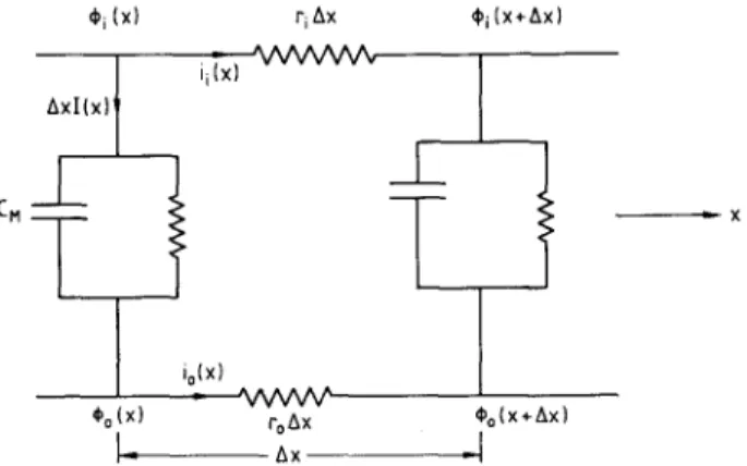 Figure  2  shows  the  equivalent  circuit  for  a  myelinated  segment.  Here  ~ ( x )   and  ~o(X)  denote  the  longitudinal  axoplasmic  and  external  fluid  potentials  respectively;  r~  and  ro  respectively  denote  the  longitudinal  resistivitie
