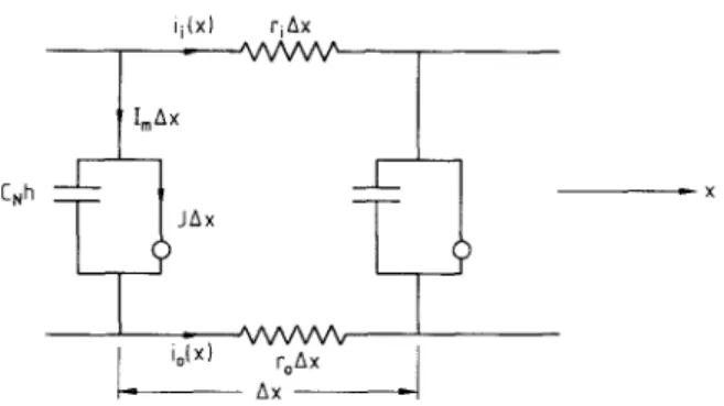 Fig.  3.  An  u n m y e l i n a t e d   (node)  segment o f   nerve  axon:  the  equivalent  electric  circuit 