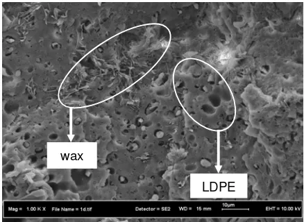 Figure 5 shows the wax 40 wt. % has covered the 