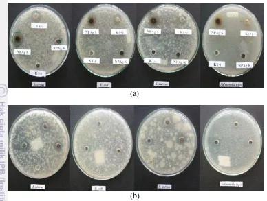 Gambar 4.7 Visualisasi antibakteri untuk dua sampel (NPAg S dan NPAg 
