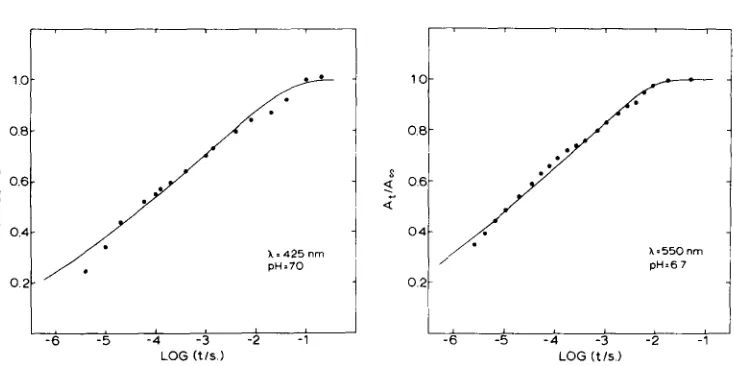 Fig. 5. Absorbance change at 425 nm (e) corresponding radicals. The points axe normalized culated by using formulas 2 and 3 with to the reduction of ferricytochrome c by OH to A100m s