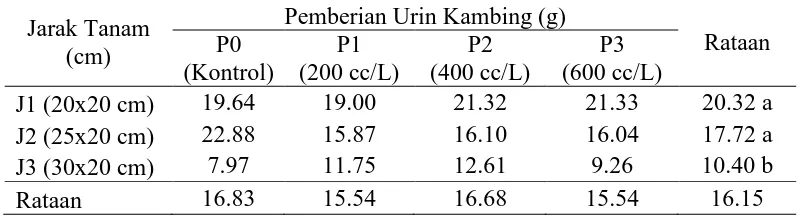 Tabel 4.  Rataan bobot segar jual per sampel pemberian urin kambing dan perlakuan jarak tanam 