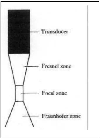 Gambar 2  Area penerimaan frekuensi pada sonogram. 