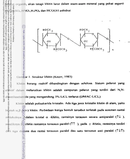 Gambar 1 . Struktur khitin (Knorr, 1983) 