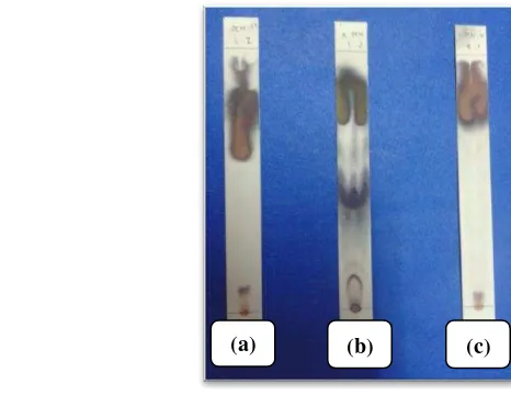 Gambar 10 Hasil analisis dengan penampak warna anisaldehid-asan sulfat 