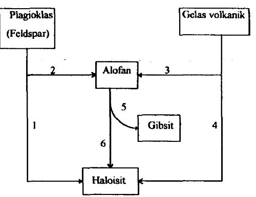 Gambar 2. Genesis mineral liat pada Andisol (FitzI'atrick, 1983; Allw dan Fanning, 1983; Pariitt ef al., 1904; Wada 1909) 