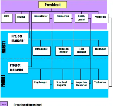 Gambar 3.10. Organisasi Manajemen Proyek/Matriks
