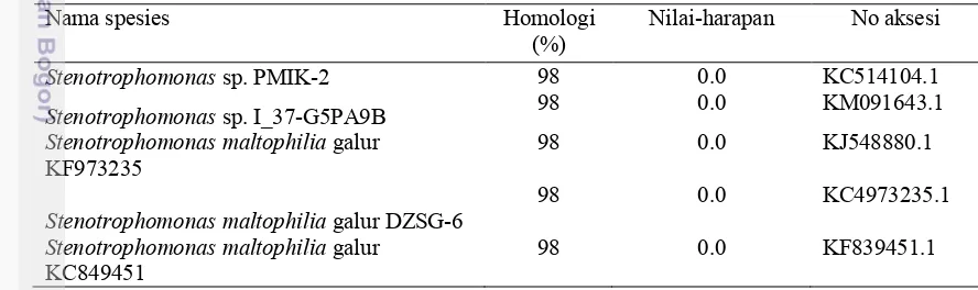 Tabel 5 Analisis kesamaan sekuen gen 16S rRNA isolat BC2 menggunakan BLAST-N 