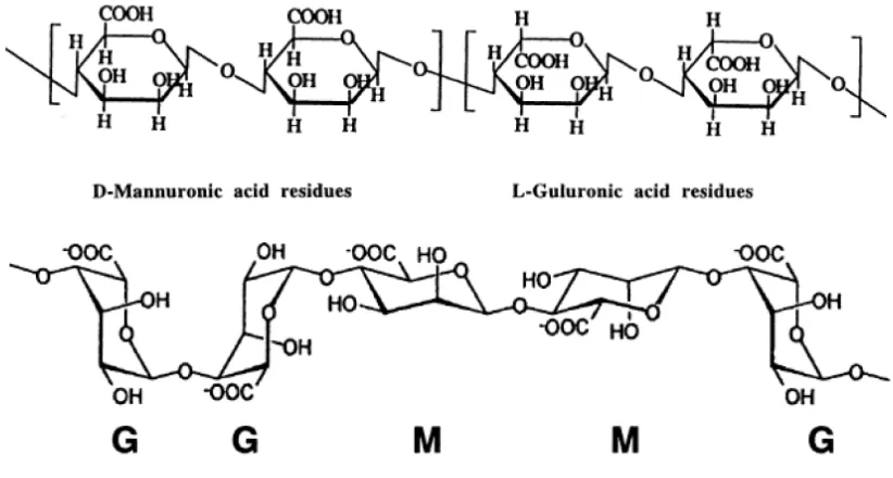 Gambar 2.5 Struktur dasar penyusun alginat 