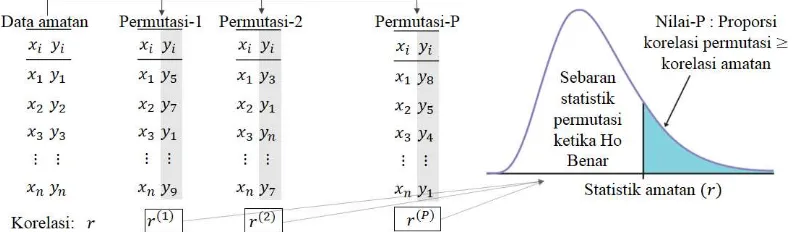 Gambar 4. Ilustrasi metode resampling teknik uji permutasi  