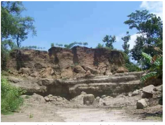 Gambar 6: Bukit bekas penambangan fosil di Dusun Grogolan Wetan. (Dari koleksi foto penulis).