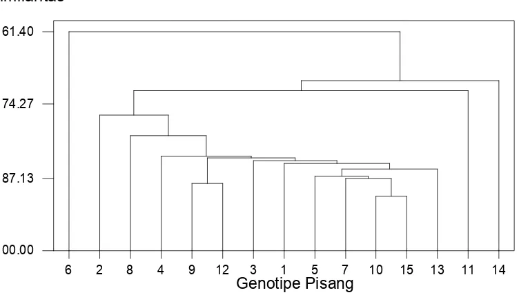 Gambar 2. Dendogram dari analisis pengelompokan dari 15 jenis pisang untuk 12           karakter morfologi 