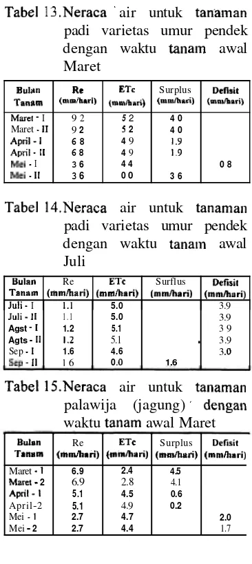Tabel 13 .Neraca 