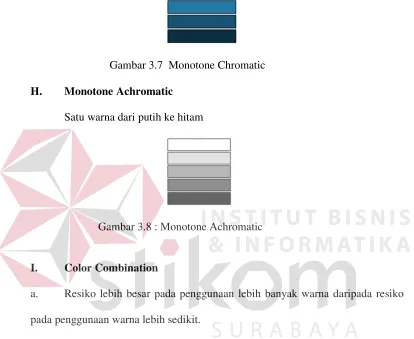 Gambar 3.8 : Monotone Achromatic 