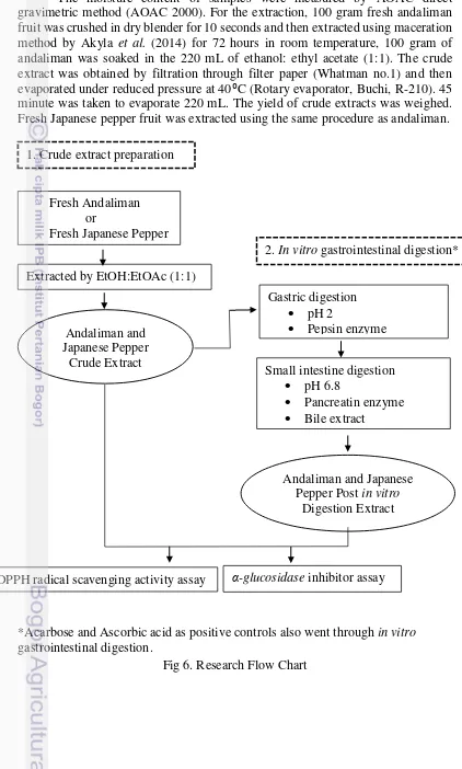 Fig 6. Research Flow Chart 