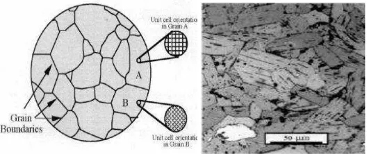 Gambar 2.3 (a) Skematik sampel polikristalin (b) Mikrostruktur ditunjukkan    melalui mikroskop optic (Barsoum, 2005)