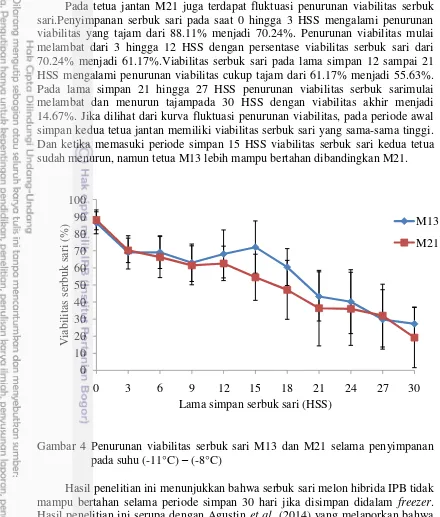 Gambar 4 Penurunan viabilitas serbuk sari M13 dan M21 selama penyimpanan pada suhu (-11°C) – (-8°C) 