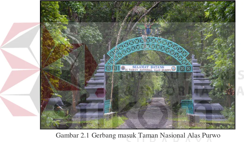 Gambar 2.1 Gerbang masuk Taman Nasional Alas Purwo 