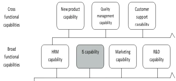 Figure 1. IS Capability and its Components (IS Competencies) - Adapted from Peppard and Ward (2004) 