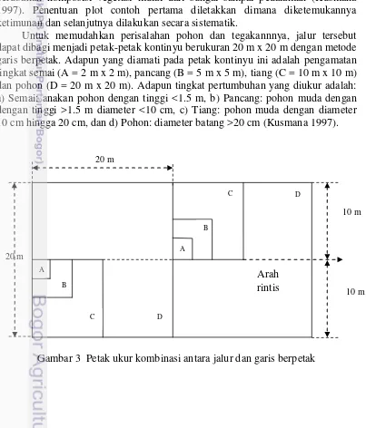 Gambar 3  Petak ukur kombinasi antara jalur dan garis berpetak 