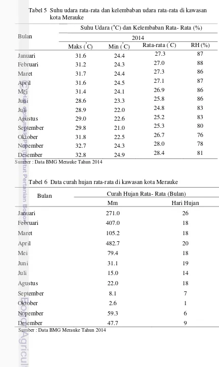 Tabel 5  Suhu udara rata-rata dan kelembaban udara rata-rata di kawasan                         kota Merauke 