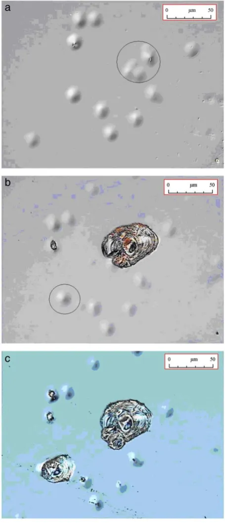Fig. 1.11 Evolution of the formed blister as a function of the number of cycles for a 