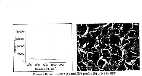Figure 2 Raman spectra (a) and SEM profile (b) of 0.1 0/o BDD.
