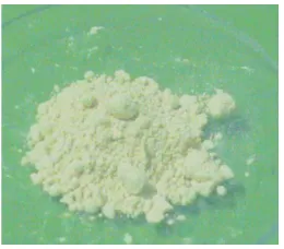 Gambar 14 Struktur permukaan mikrokapsul kosong dengan penambahan glutaraldehida dan gom guar 