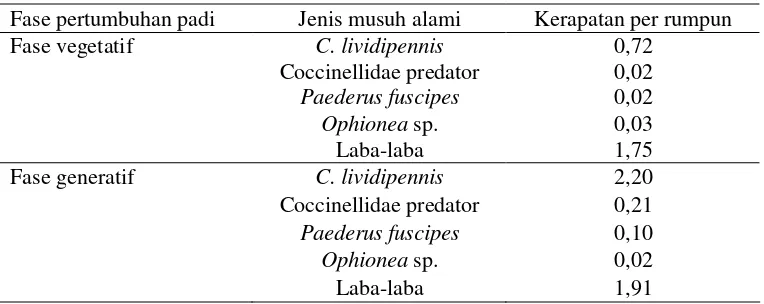 Tabel 3  Kelimpahan populasi predator pada fase vegetatif dan generatif 